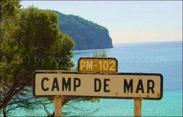 camp de mar plate copyr.jpg.jpg